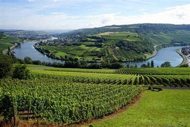 Wijngaarden langs de Moezel in Luxemburg
