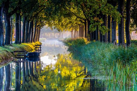 Landschapsfoto van de omgeving van Flevo Natuur, met bossen en water.