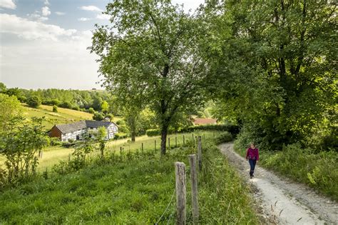 panoramisch uitzicht op het landschap rond Houthem met mogelijkheden voor wandelen en fietsen