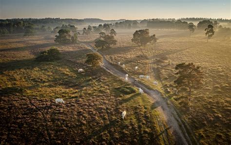 Overzichtskaart van Nationaal Park Utrechtse Heuvelrug met belangrijke locaties.