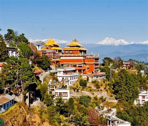 Infographic met de incheckdeadlines voor binnenlandse en internationale vluchten van Tailwind Airlines