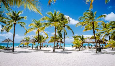 Prachtig hagelwit strand op Aruba met palmbomen en turquoise zee