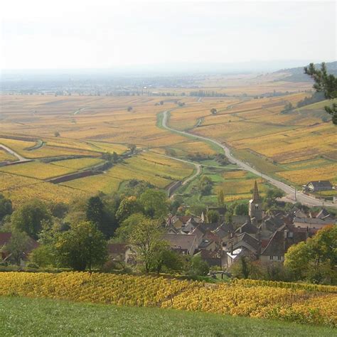 Panoramisch uitzicht op de wijngaarden van Bourgondië met Beaune op de achtergrond