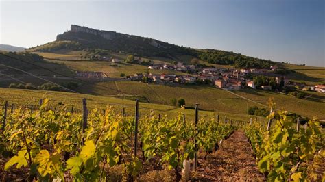 Glooiende wijngaarden in de Beaujolais regio