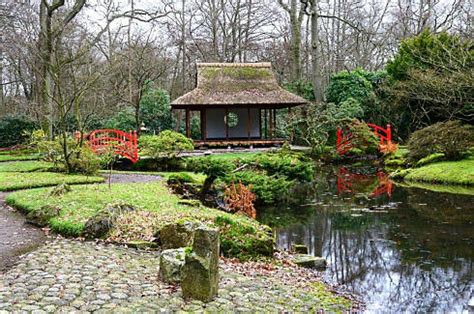 Foto van de Japanse tuin van Clingendaal