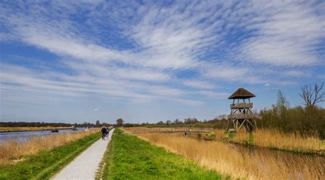 Landschap van Nationaal Park de Alde Feanen met waterwegen en rietkragen
