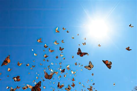 Historische ruïnes in Griekenland met een helderblauwe lucht