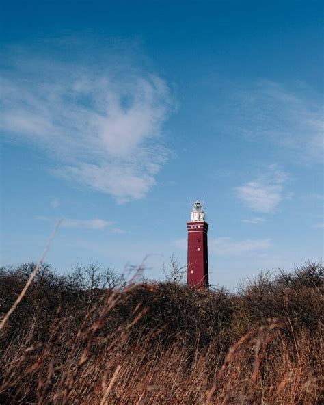 Illustratie van de vuurtoren Westhoofd in het duinlandschap.