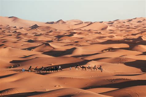 Kameelkaravaan die door de Sahara woestijn trekt bij zonsondergang