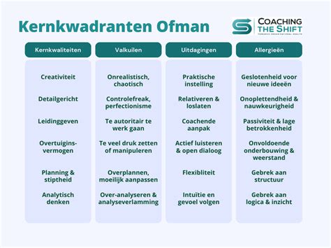 Schema met kerncompetenties voor een bagagemedewerker: Efficiëntie, Fysieke fitheid, Betrouwbaarheid, Oog voor detail, Teamspirit