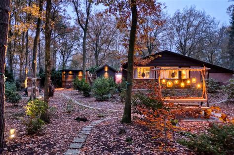 een sfeervolle glampingtent in een bosrijke omgeving