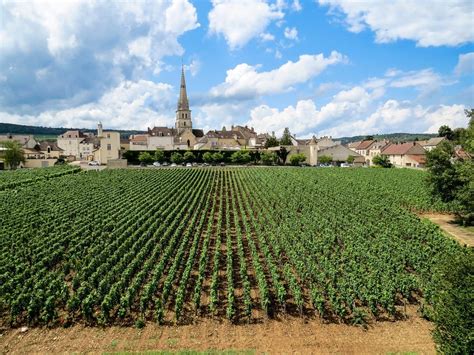 Landschap van de Bourgogne met wijngaarden en charmante dorpjes.