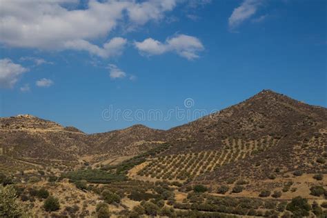 Landschap van Ibiza met groene heuvels, olijfbomen en een traditionele witte boerderij
