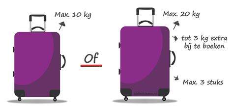 Diagram met de afmetingen van de vrachtdeuren van het vliegtuig