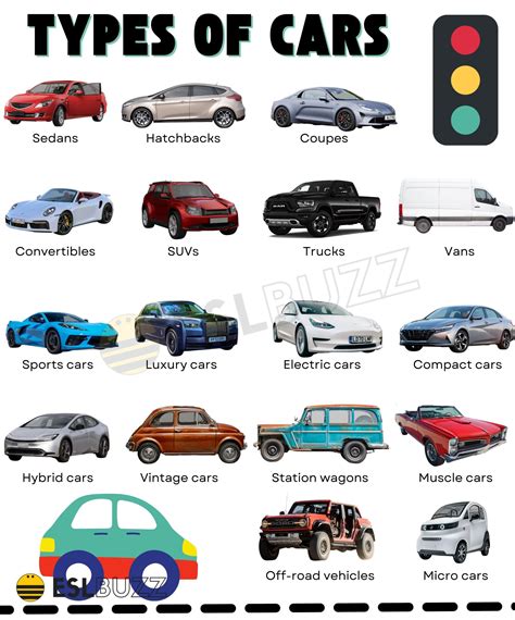 Visuele vergelijking van verschillende autotypes beschikbaar voor verhuur