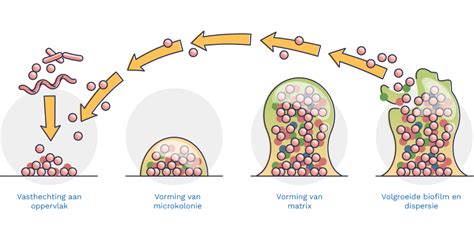 Een illustratie van een malariamug en de verspreiding van de ziekte.