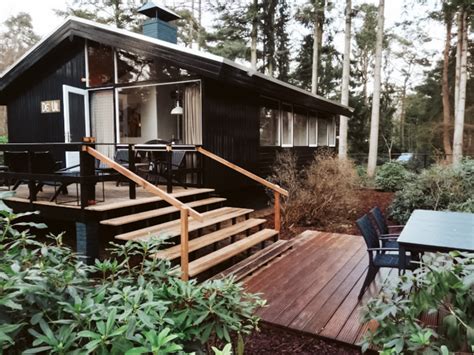 sfeerbeeld van een knus vakantiehuisje met kerstdecoratie in een bosrijke omgeving