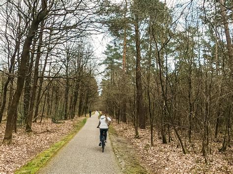 Fietsroute door de Kempen met heide en bossen