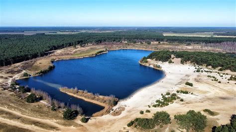 Zicht op de Lommelse Sahara met zandduinen