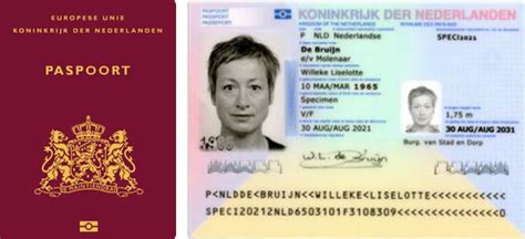 illustratie van paspoorten en visa