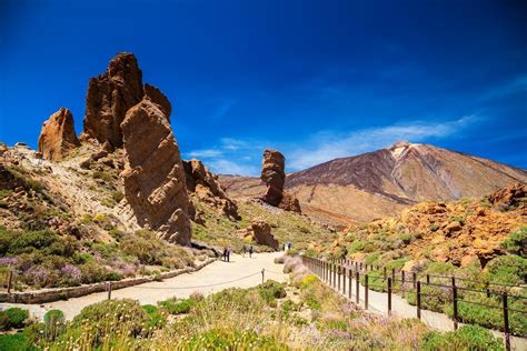 Landschap van Nationaal Park El Teide met de vulkaan op de achtergrond