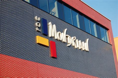 Infographic over de verschillende mbo-opleidingen en studierichtingen bij ROC Mondriaan