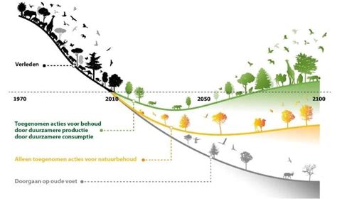 Infographic die de afname van Hyves-gebruikers illustreert en de opkomst van concurrenten.