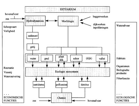 Schematische weergave van de verschillende campertypes met hun capaciteit.