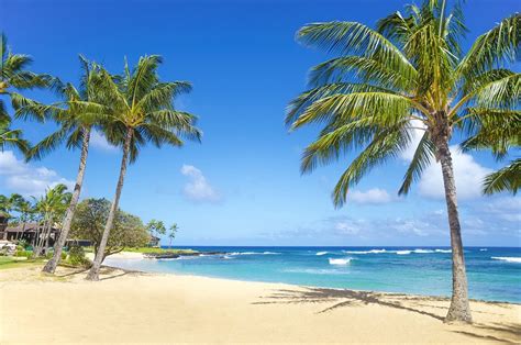 Luchtfoto van een tropisch strand met palmbomen en turkoois water, ideaal voor een zonvakantie in maart.