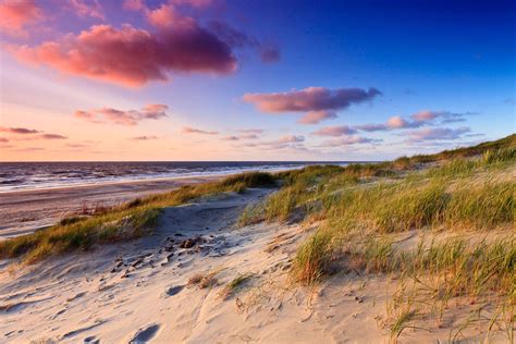 Landschap van Nationaal Park Hollandse Duinen met duinen en fietspad.