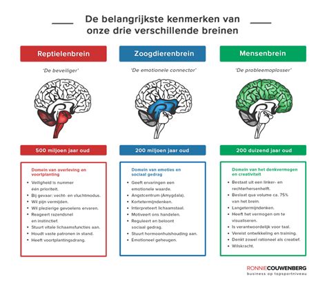 infographic met de verschillende compensatiebedragen per afstand