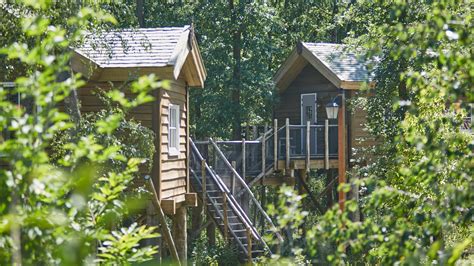 Een boomzicht kamer in Efteling Loonsche Land, hoog tussen de bomen