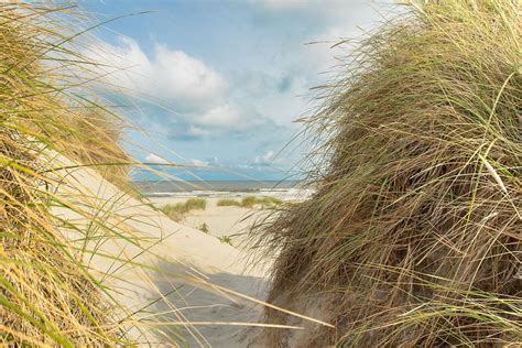 Fietsroute door de duinen van Egmond met helmgras en zandpaden.