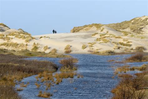 Landschap van de Schoorlse Duinen met hoge duinen en groen