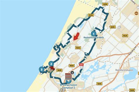 Bloeiende tulpenvelden in de Bollenstreek