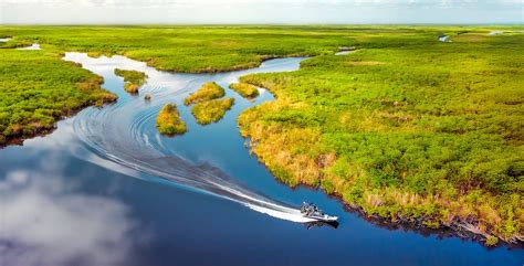 panoramisch uitzicht op de Everglades met een airboat