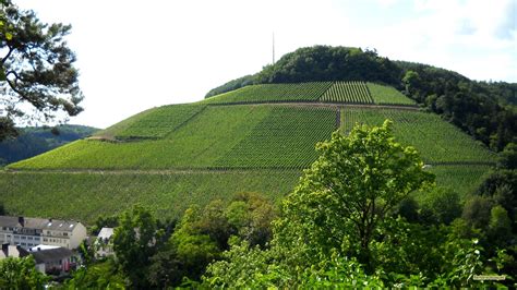 Een sfeervolle foto van pelgrims die langs een groene, glooiende heuvel wandelen met op de achtergrond een typisch Galicisch landschap.