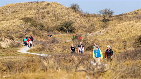 Wandelpad door de duinen van Zandvoort