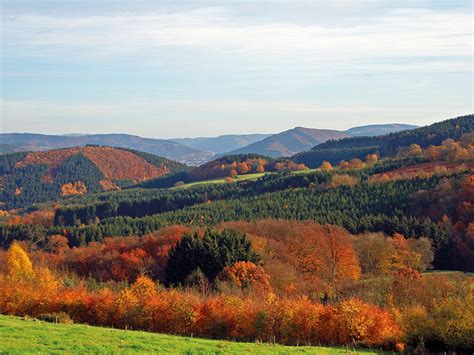Hond genietend van de natuur in het Sauerland