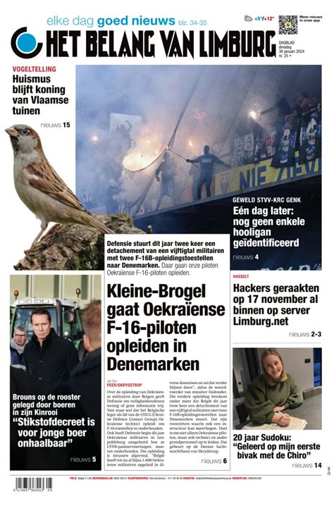 Close-up van een hoofd met een duidelijke haar-scheiding, benadrukkend het belang van insmeren.