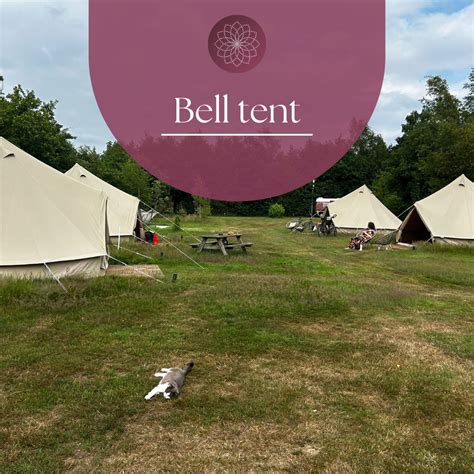 Een ruime, ingerichte tent met verlichting, klaar voor evenementen.
