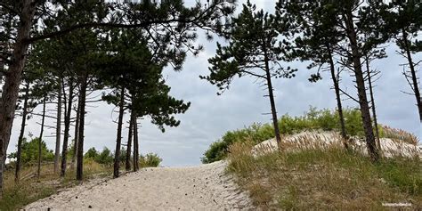 Neerslaggrafiek voor Bergen aan Zee