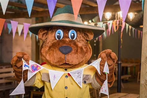 een illustratie van Bollo de Beer, de mascotte van Landal