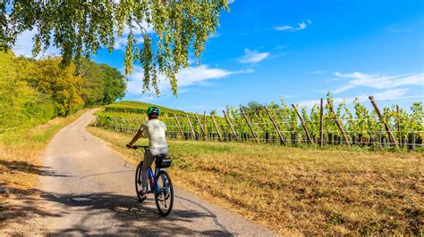 Overzicht van diverse fietsvakanties aangeboden door ANWB