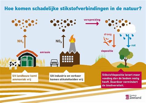 grafiek die de groei van stikstofdepositie door luchtvaart tussen 2005 en 2019 weergeeft