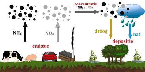 diagram dat de verdeling van stikstofdepositie door luchtvaart toont: emissies op grote hoogte versus LTO-fase