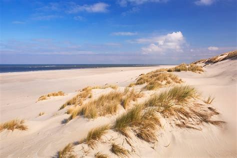 Gezin geniet van watersportactiviteiten op het strand van Terschelling.