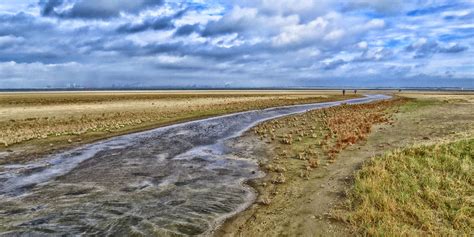 Natuurgebied De Kwade Hoek met duinen en strand