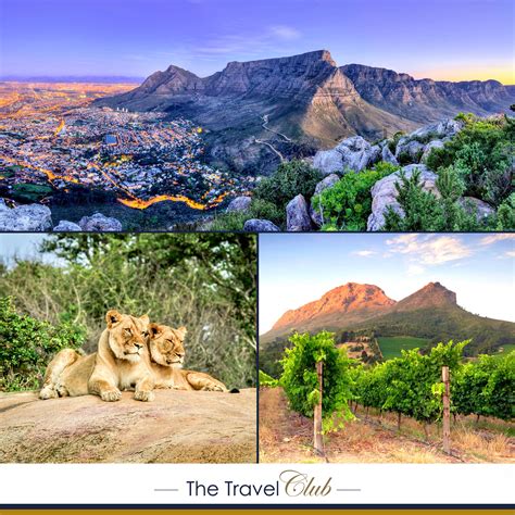 Collage van iconische beelden uit Zuid-Afrika: wildlife, Tafelberg, kleurrijke straten