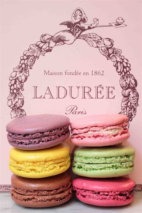 Ladurée macarons en La Maison du Chocolat producten